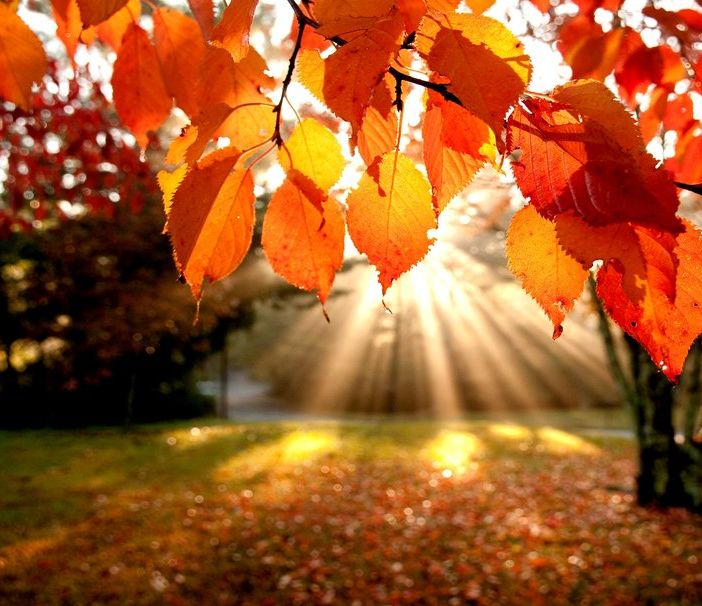 Sole e caldo anche domani, giorno di Ognissanti, poi mercoledì...