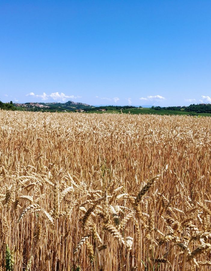 Obiettivo valorizzare le eccellenze del territorio e creare opportunità di lavoro