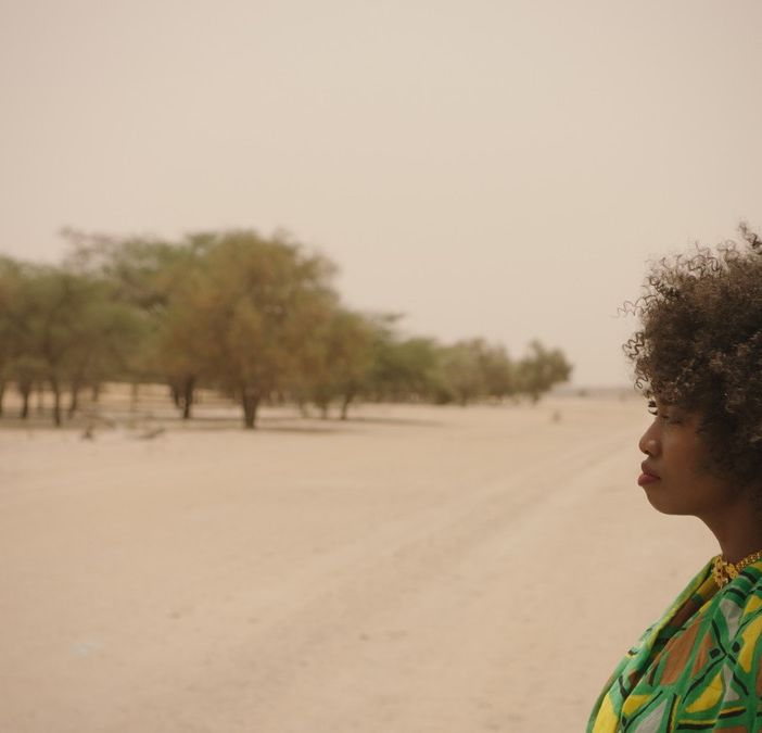&quot;The Great Green Wall&quot;