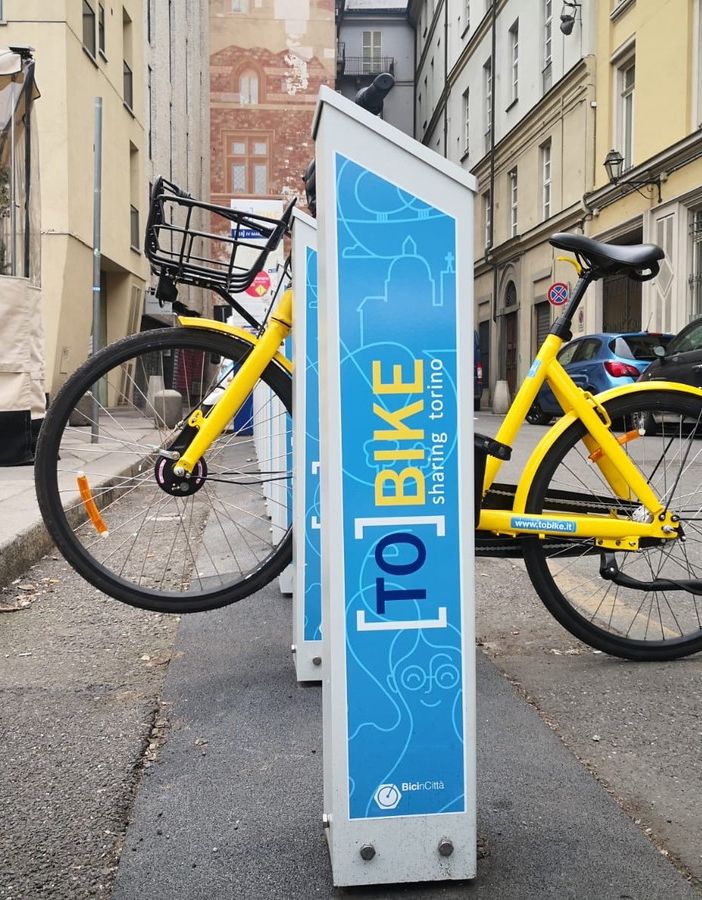 Domani Greenpeace Torino 'celebrerà il funerale' di Tobike
