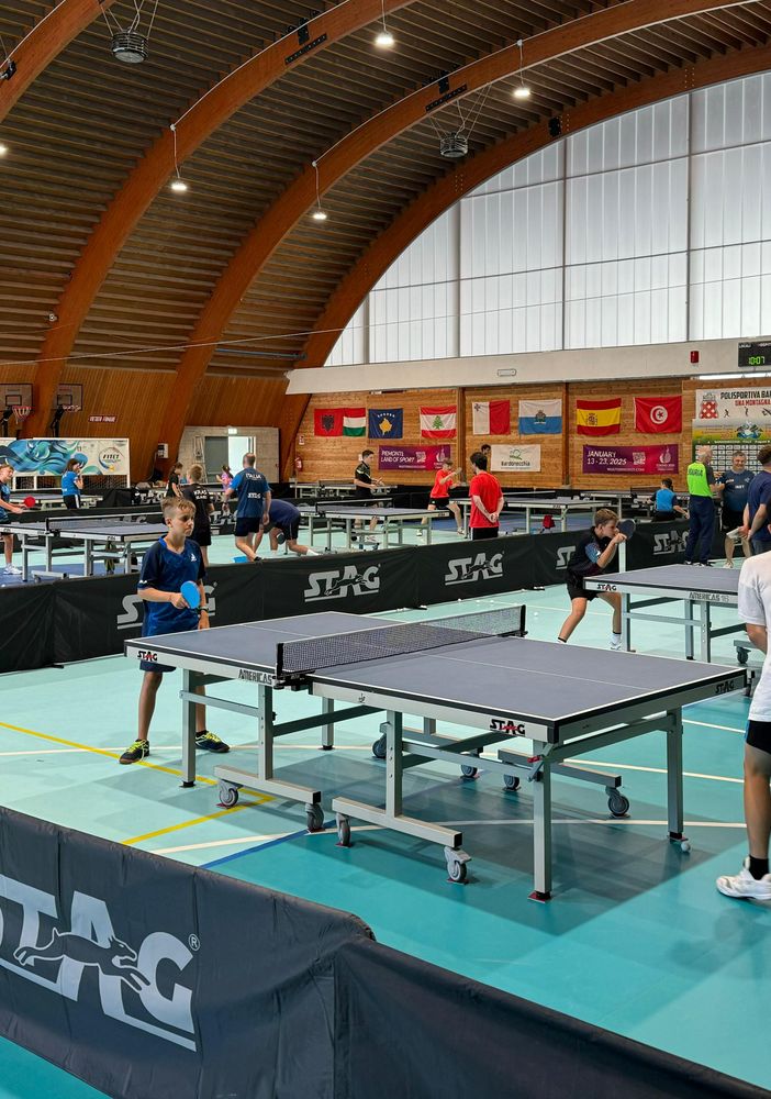 partita di ping pong