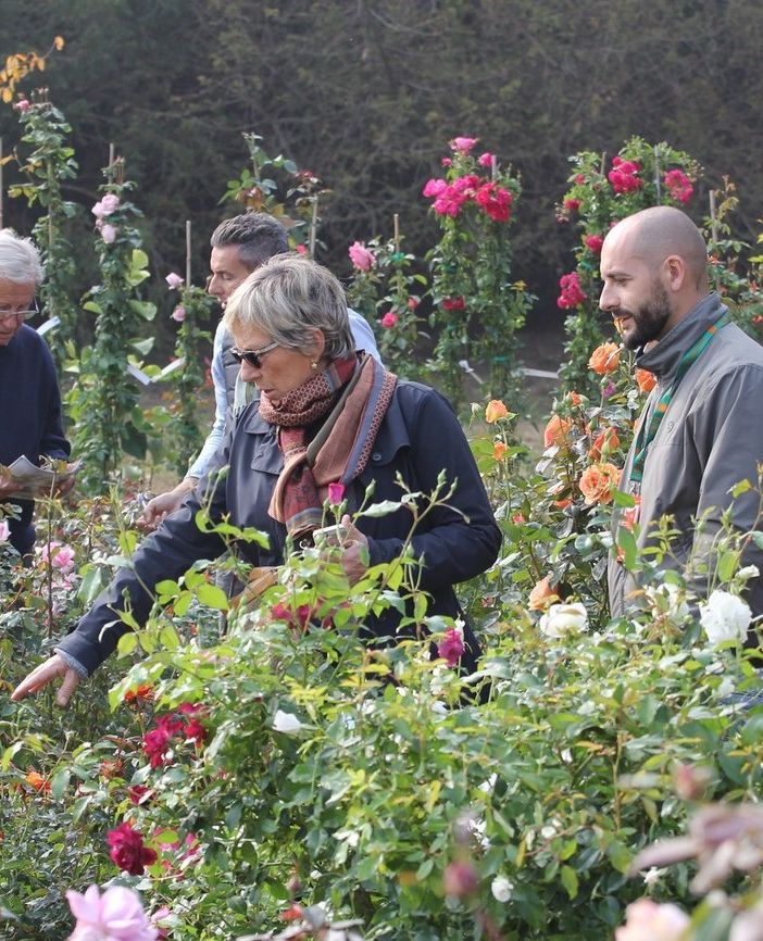 “Tre giorni per il giardino”: dal 18 al 20 ottobre appuntamento al Castello di Masino