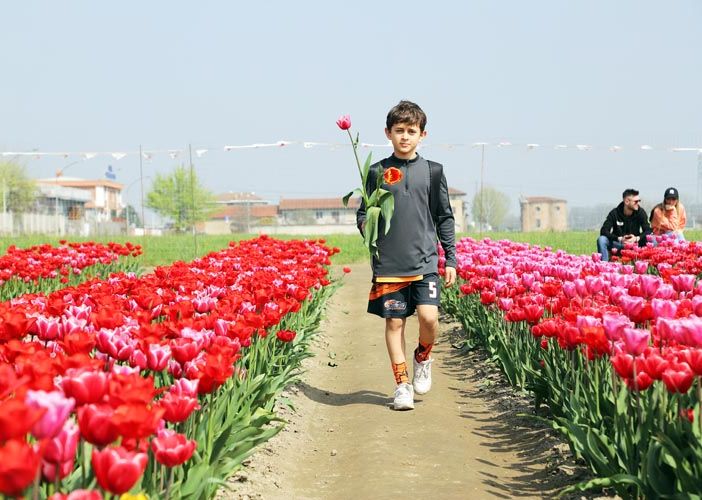 Grugliasco fiorisce: c'è tempo fino al 30 marzo per inviare le foto e partecipare al contest