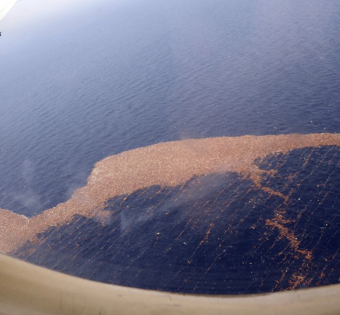 Photo by US Navy of the Great Pacific Garbage Patch
