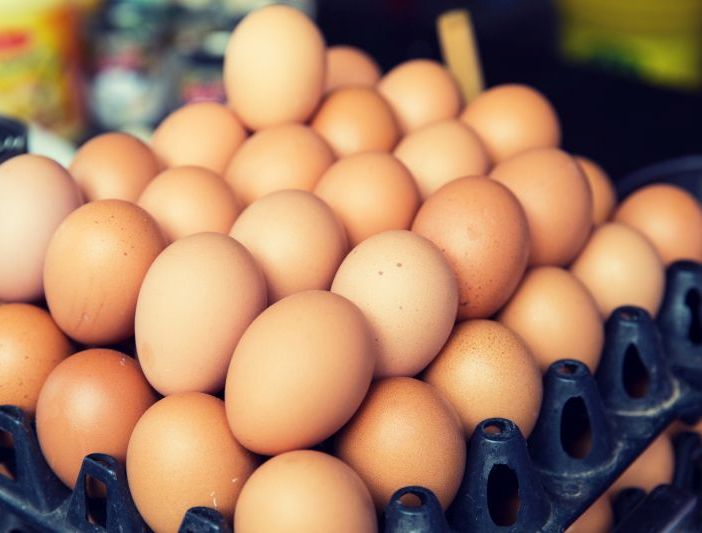 Uova contaminate, la procura di Torino indaga