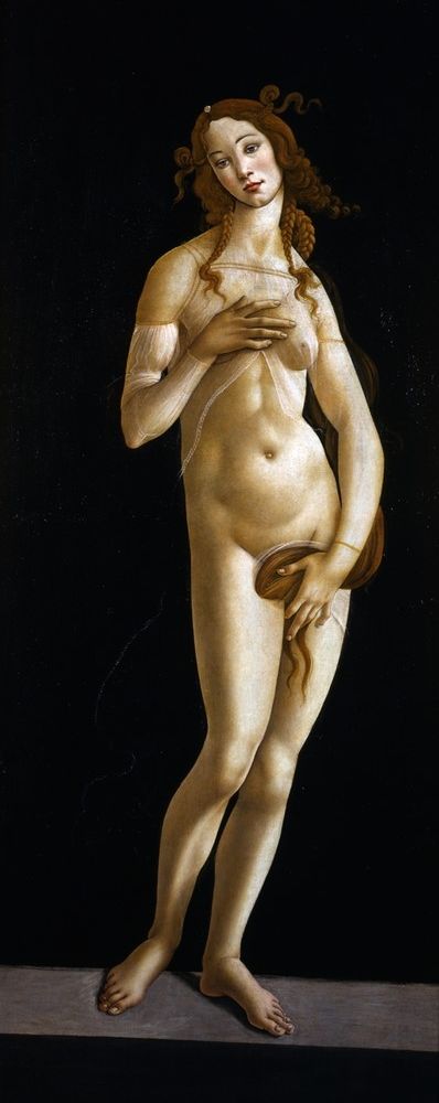 La Venere di Botticelli da domani torna visibile al primo piano della Galleria Sabauda
