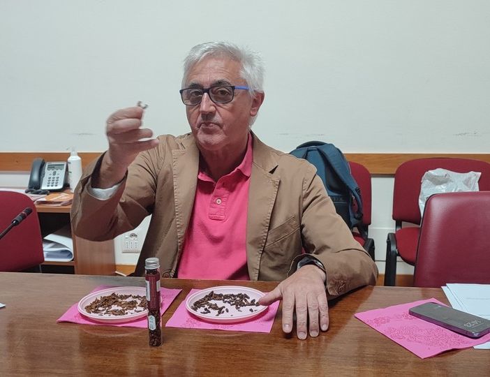 silvio viale