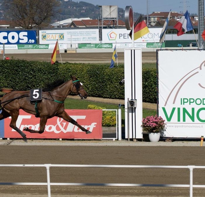 Un'altra domenica di grande trotto a Vinovo