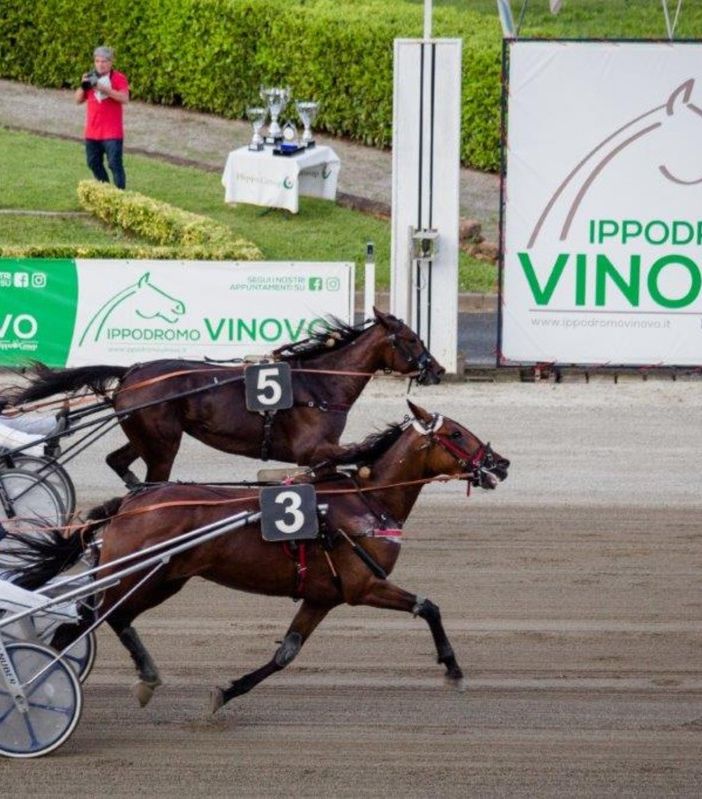 Il Gran Premio Germania clou di un grande mercoledì di trotto a Vinovo