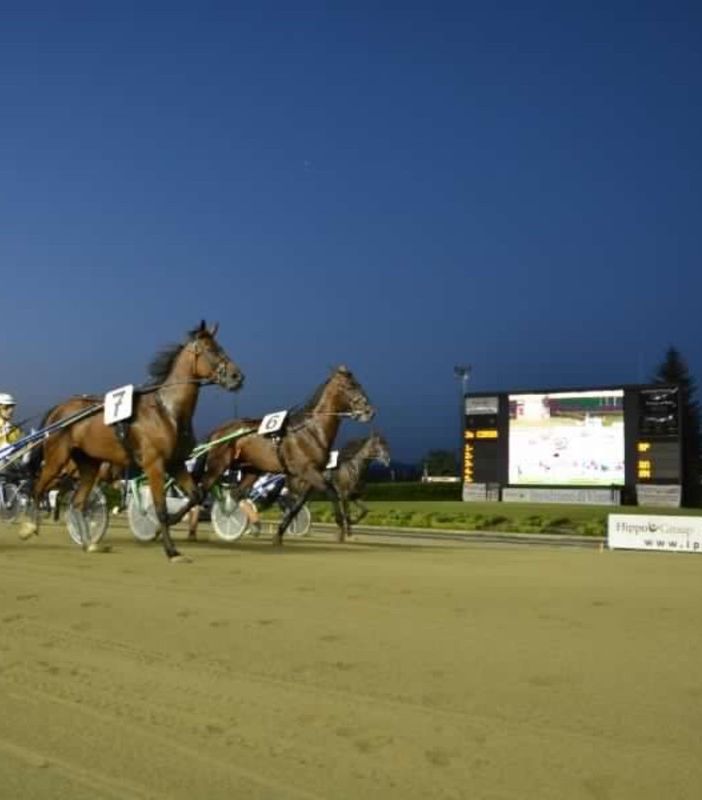 Doppio spettacolo all'Ippodromo di Vinovo: il 1° settembre, Gran Premio Marangoni open e Filly in notturna