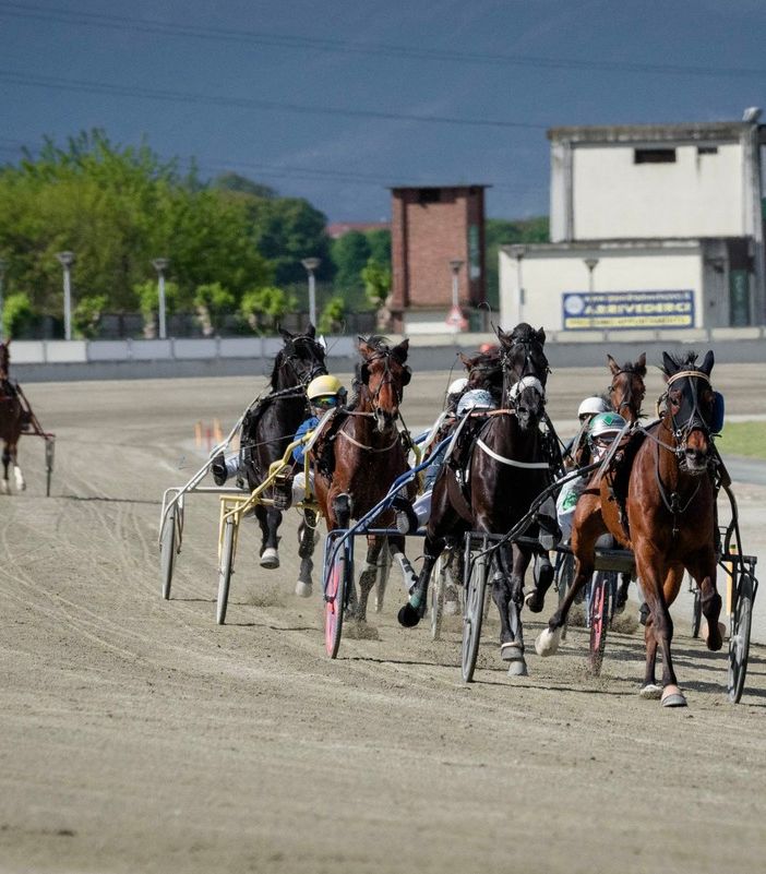 Un grande lunedì di trotto attende l'ippodromo di Vinovo