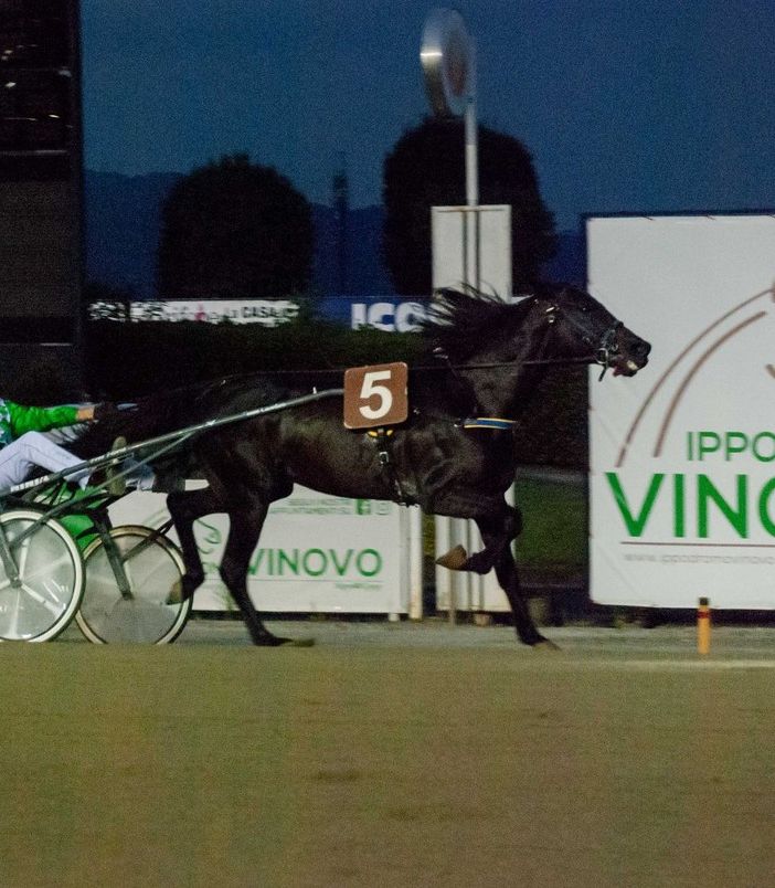 Ippodromo di Vinovo, sabato 21 novembre otto corse: Premio Toronto per intenditori