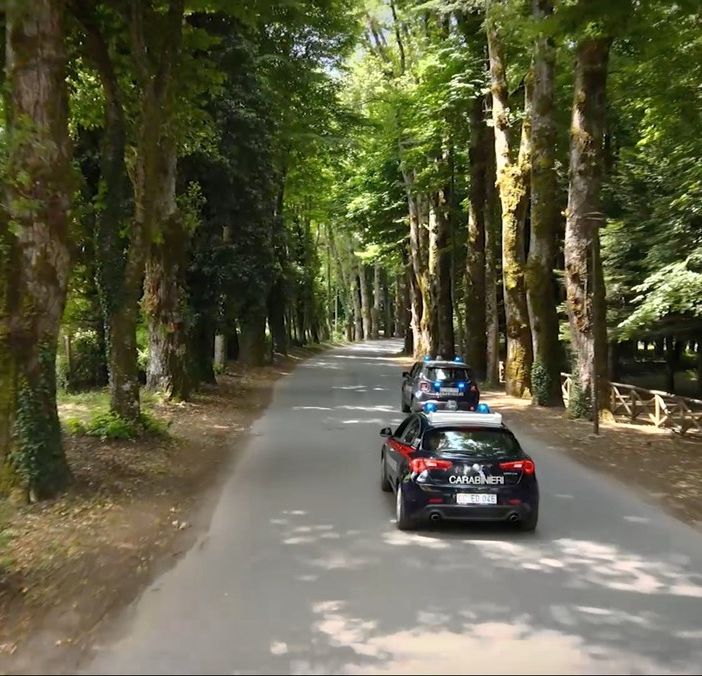 Omicidi, estorsione e droga: blitz dei carabinieri, 14 gli arresti