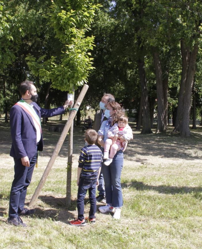 dona un albero - foto di archivio