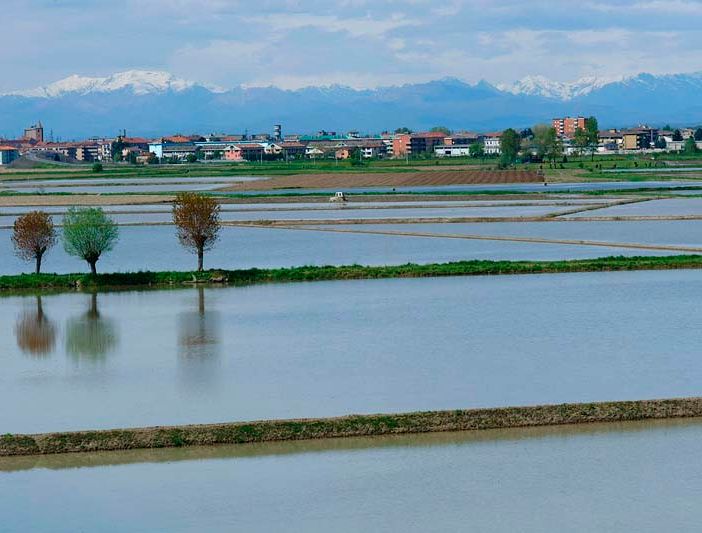 campo coltivato pieno d'acqua