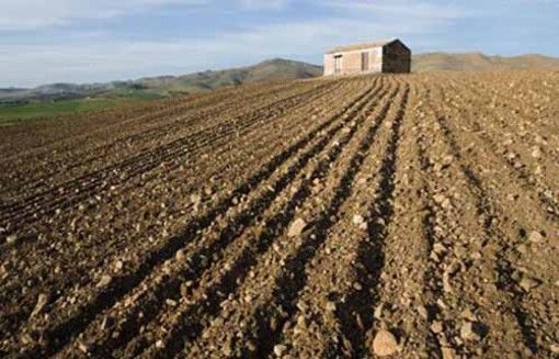 agricoltura e campi