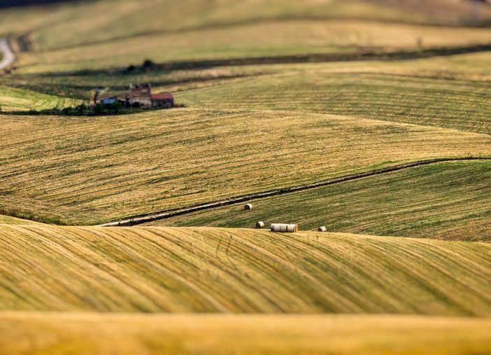 Agricoltura, l’Arpea ha avviato l’erogazione dell’anticipo comunitario della PAC 2019