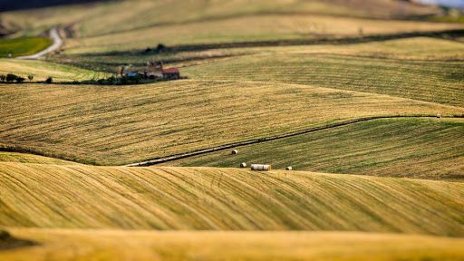 Il mondo delle piccole e medie imprese cresce anche tra i campi: domani il pmi day in agricoltura