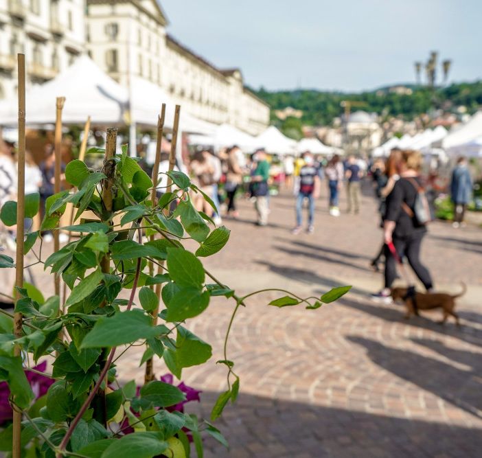 Domenica in piazza Vittorio ultimo appuntamento del 2024 con Agriflor