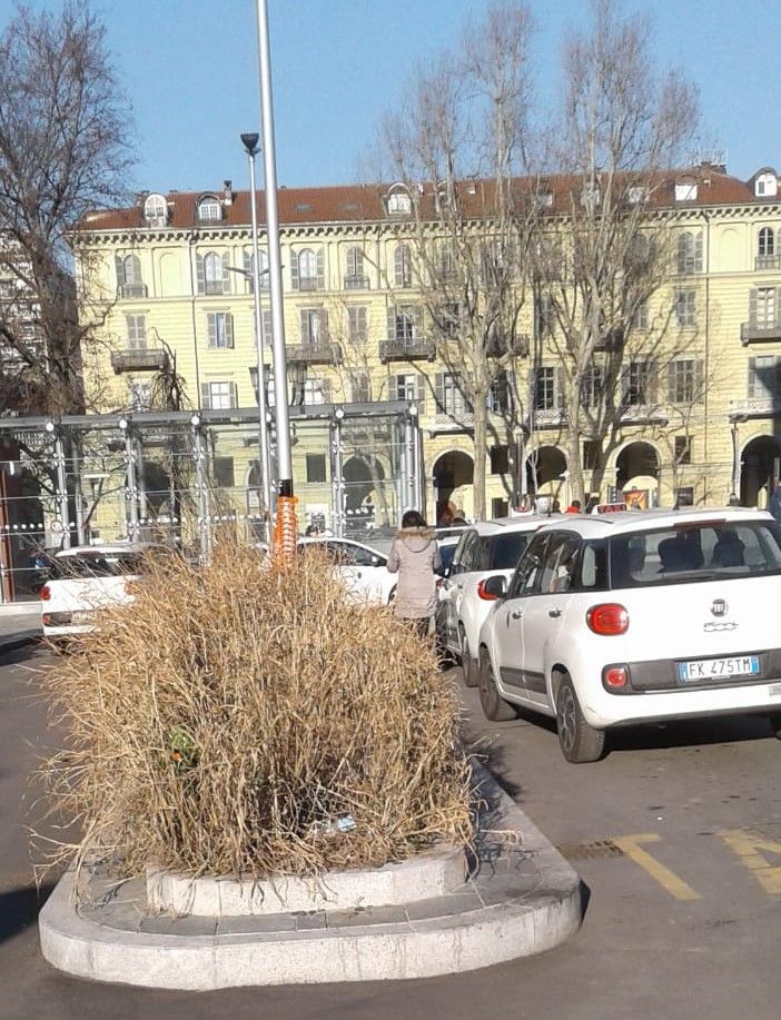 La strana storia dell'aiuola nel parcheggio taxi di Porta Nuova