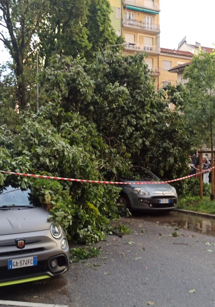 Torino fa i conti col maltempo: pioggia, grandine e alberi caduti (foto di Carlo Granisso)