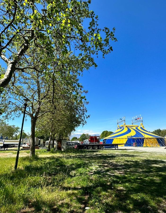 alberi pellerina