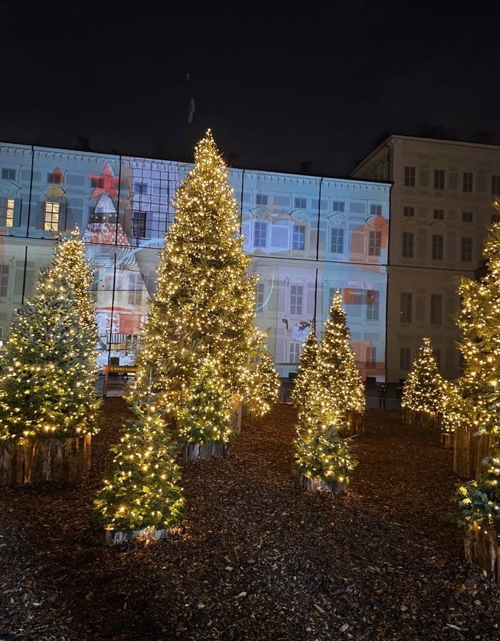 si accende il natale in centro a torino