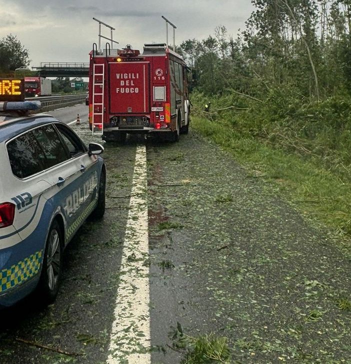 Alberi cadono sulla carreggiata della A5 a causa del maltempo: forti ripercussioni sul traffico