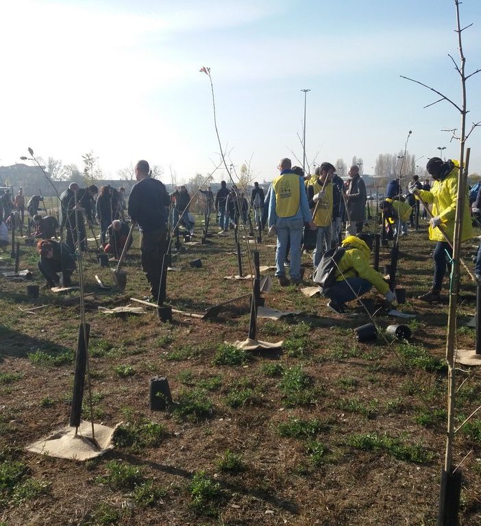 Il futuro non si brucia. Oggi anche in Piemonte la Festa dell'Albero