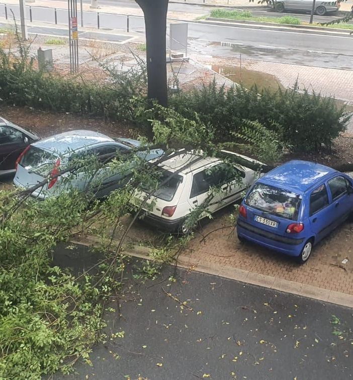 Tombini otturati e alberi abbattuti: Torino un'altra volta in balia del maltempo [VIDEO]