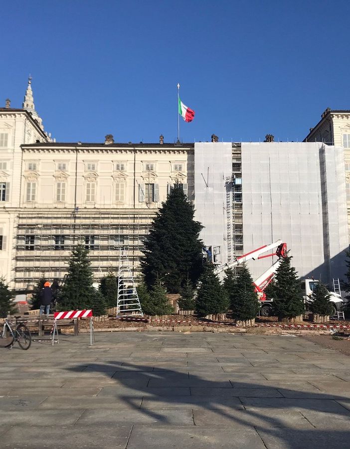 preparativi albero di natale