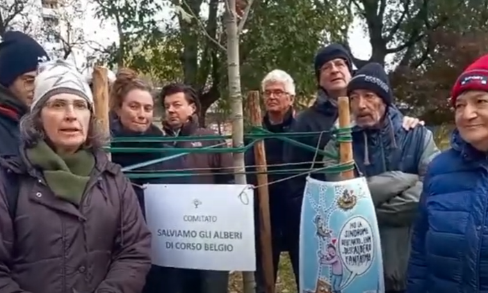alberi e polemiche