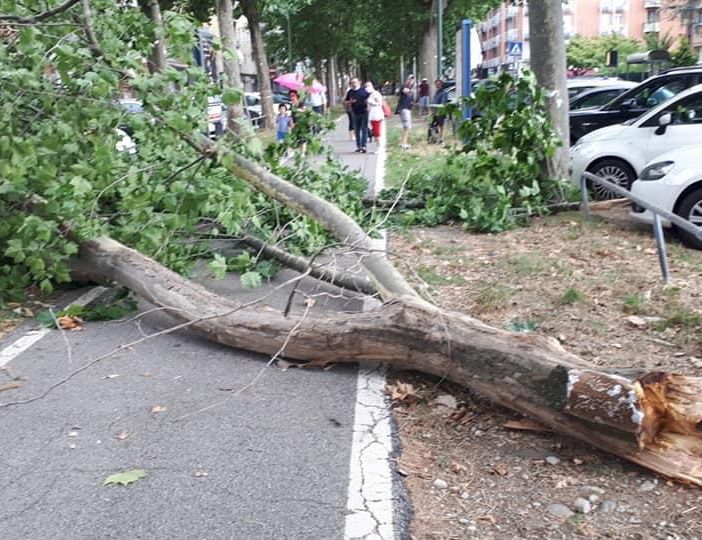 Foto di Federica Fulco, Facebook