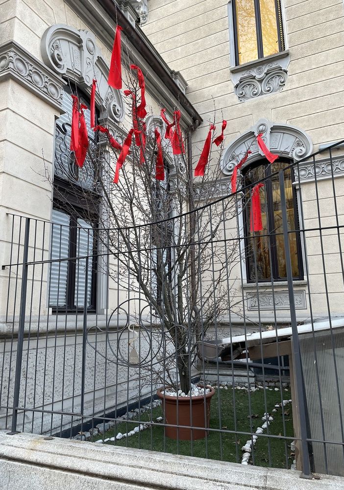 albero senza vita