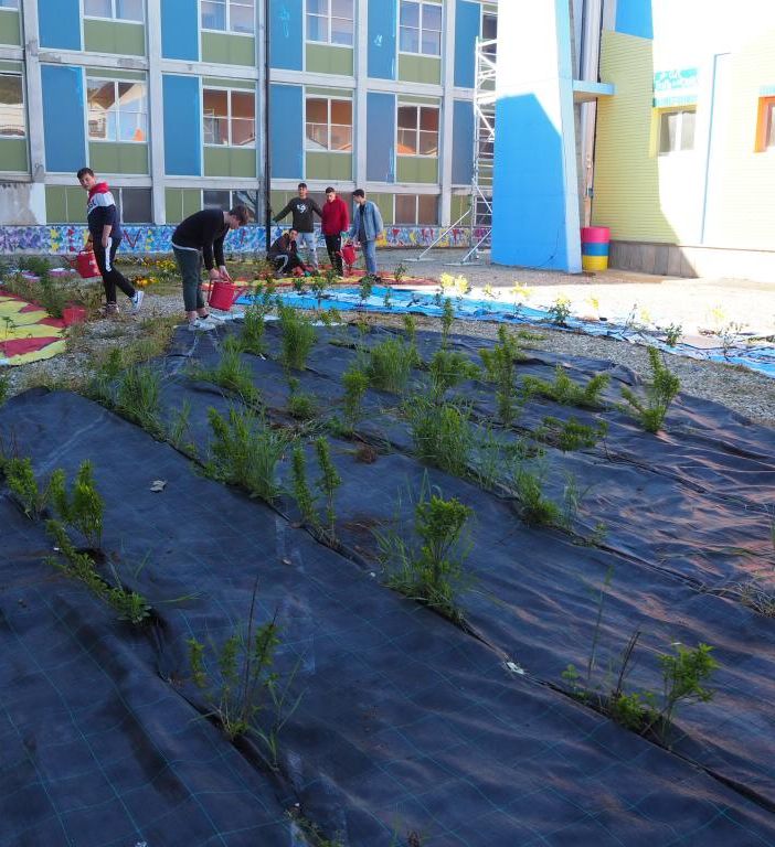 Vandalizzato il giardino degli studenti dell’Alberti-Porro di Pinerolo