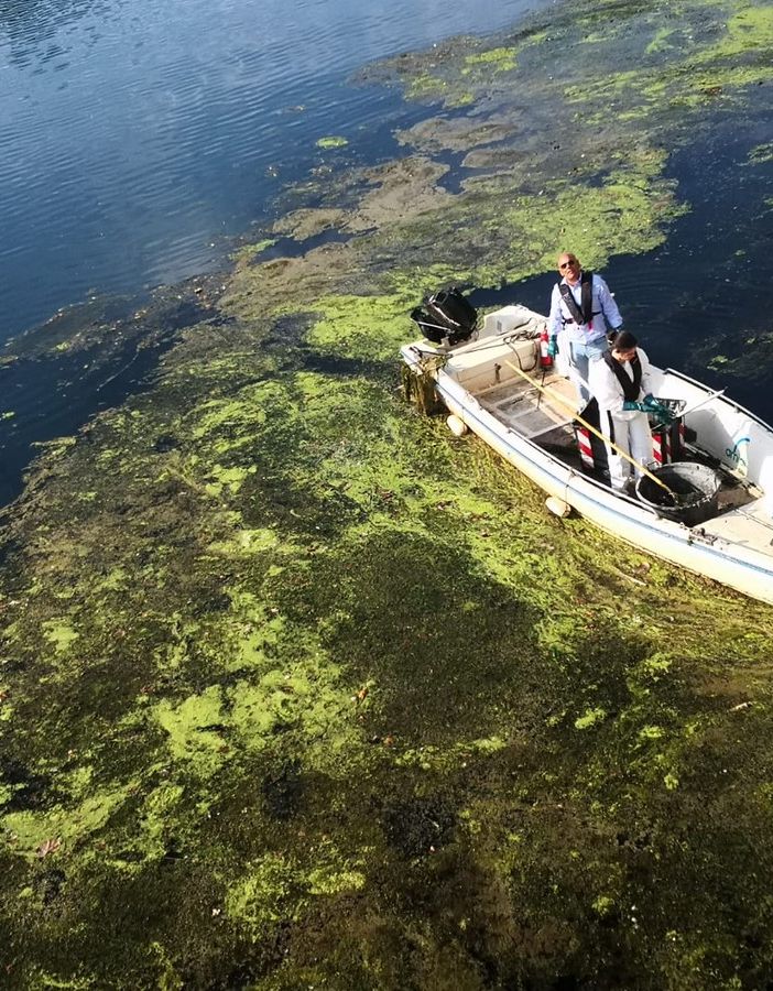 corso d'acqua con imbarcazione e alghe in superficie