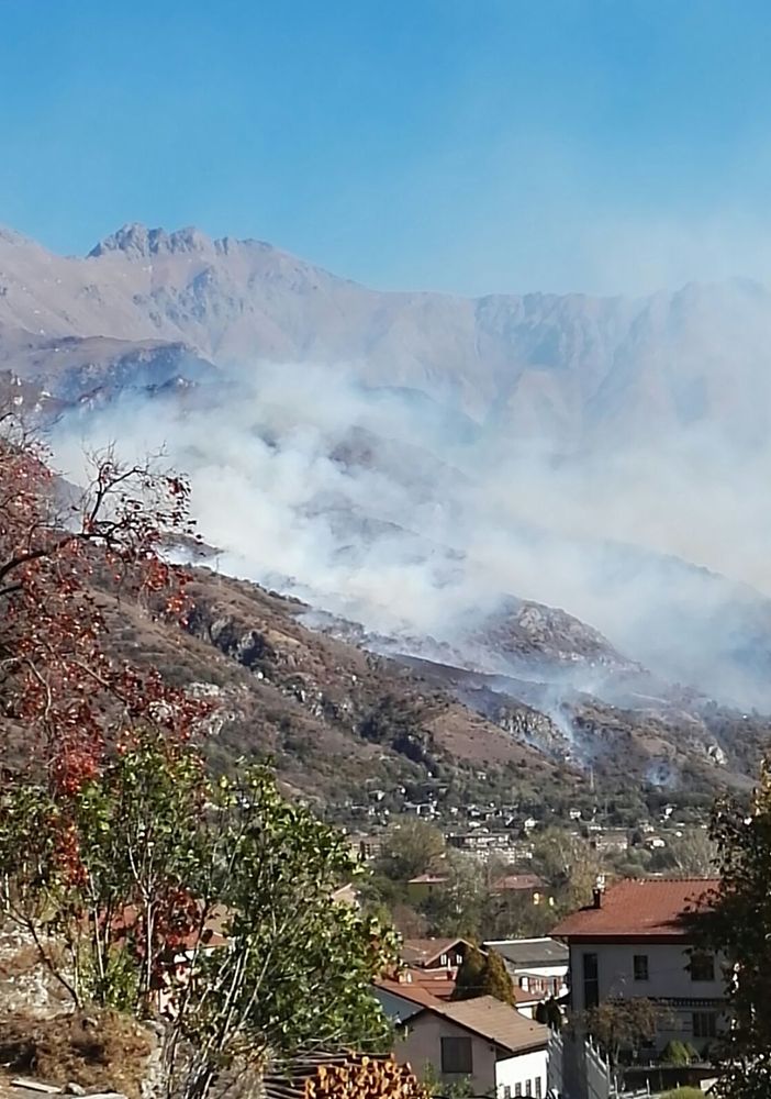Coldiretti: &quot;Serviranno 15 anni per ricostruire i boschi bruciati dagli incendi&quot;