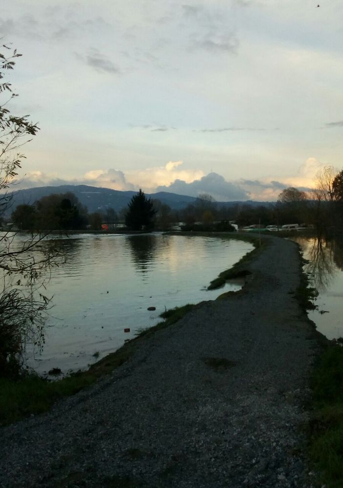 Coldiretti, aziende a terra per l'alluvione