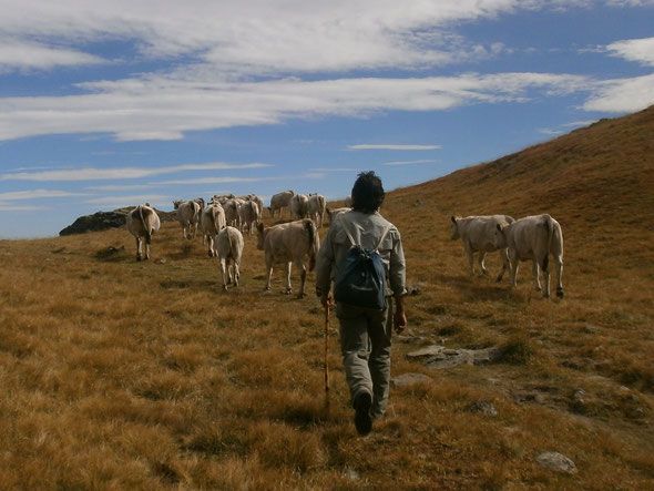 &quot;La siccità sta mettendo in ginocchio i margari piemontesi&quot;