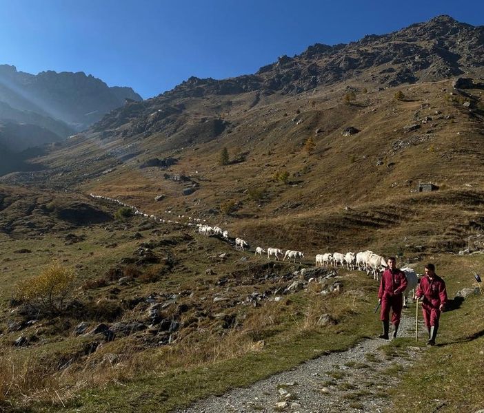Dalla Regione 4 mln di euro per la viabilità per l'accesso e la gestione degli alpeggi
