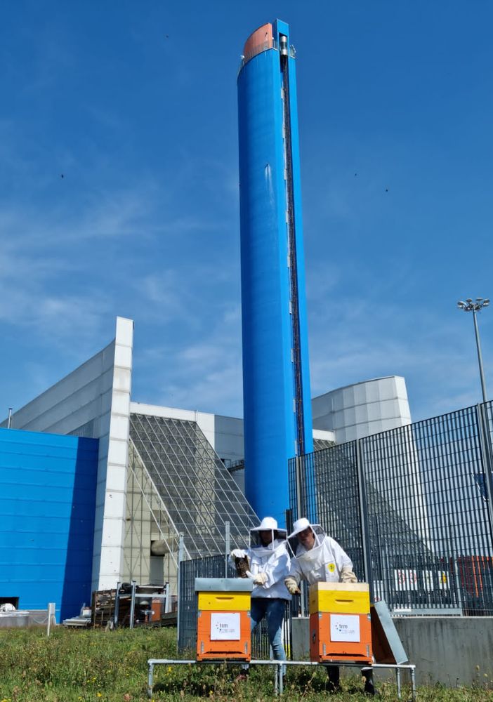 alveari termovalorizzatore
