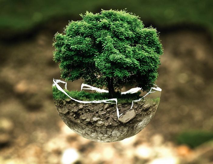 Sei un fumatore Evergreen?
