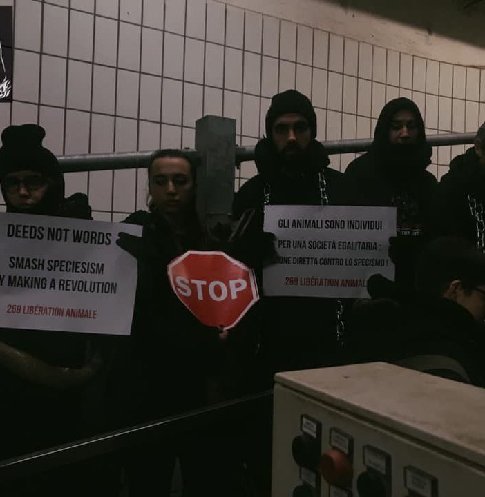 Foto tratta dalla pagina Facebook di 269 Liberation Animale