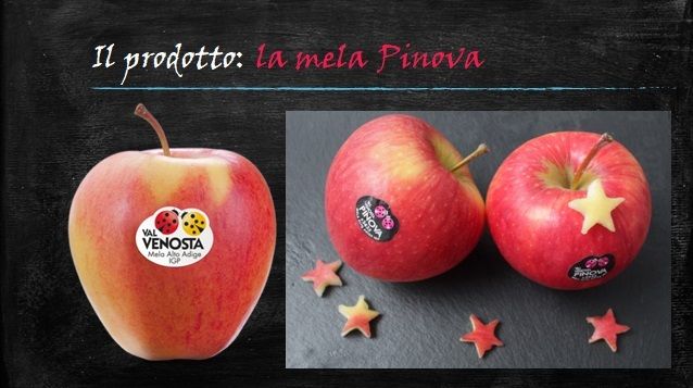 Felici &amp; Veloci, la nuova Ricetta AutograFATA di Fata Zucchina. Oggi prepariamo gli apple donuts