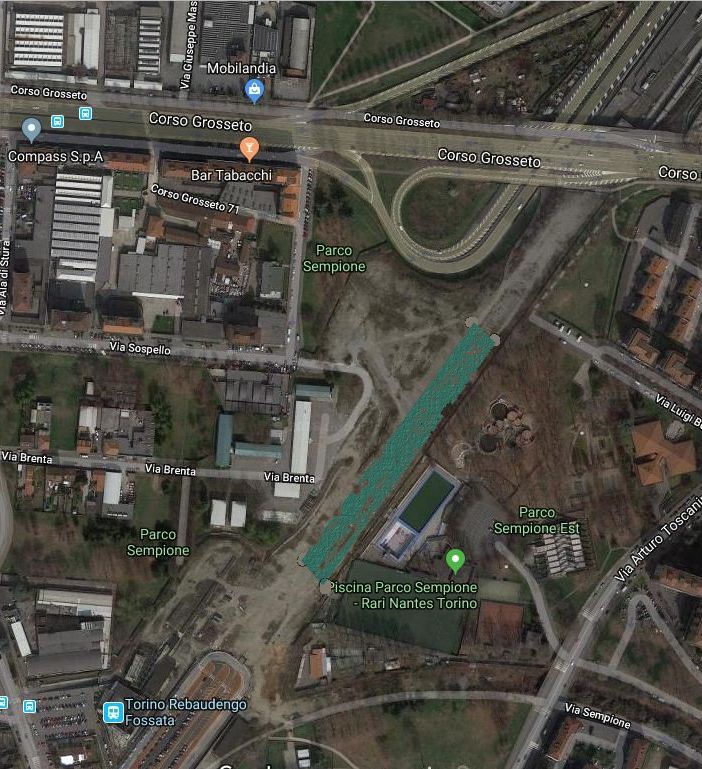 Una &quot;nursery&quot; per i nuovi alberi di corso Grosseto