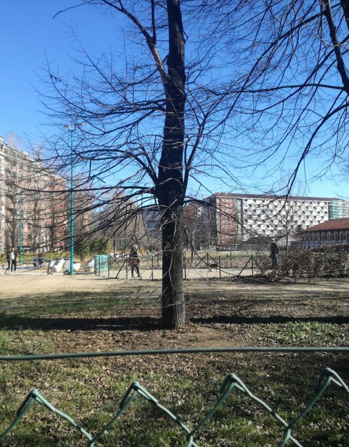 Giardini della clessidra: &quot;Riqualificati, ma perché con un'area cani così piccola?&quot;
