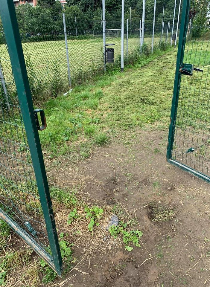Nichelino, l'appello dell'Amministrazione: &quot;Trattare le aree cani come fossero un pezzo di casa nostra&quot;