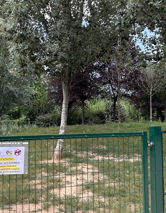 area cani via fagnano
