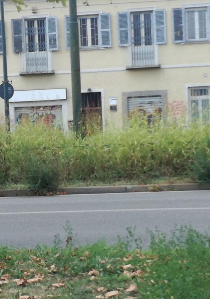Verde pubblico, assegnati i lavori di manutenzione straordinaria in 20 aree
