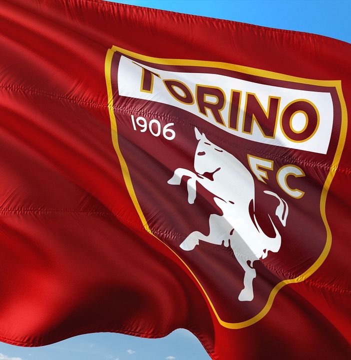 bandiera torino fc